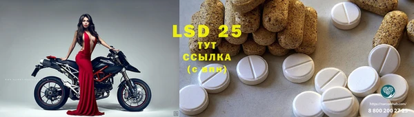 ECSTASY Каменногорск