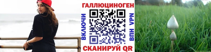 Псилоцибиновые грибы прущие грибы  Купить где  Родники 